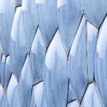 深入解析皇都国际平台的优势与用户体验分享 01m3br