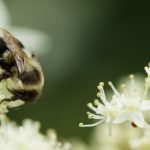 优发娱乐官方平台:畅享安全可靠的在线娱乐体验 5r3p1