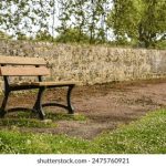 众赢国际:引领全球商业合作的新平台探索 nxby0xd