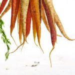 优发国际官网:探索全新在线娱乐平台的魅力与优势 z1d1qyb